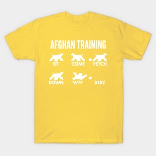 Afghan Hound Training Boxer Dog Tricks T-Shirt